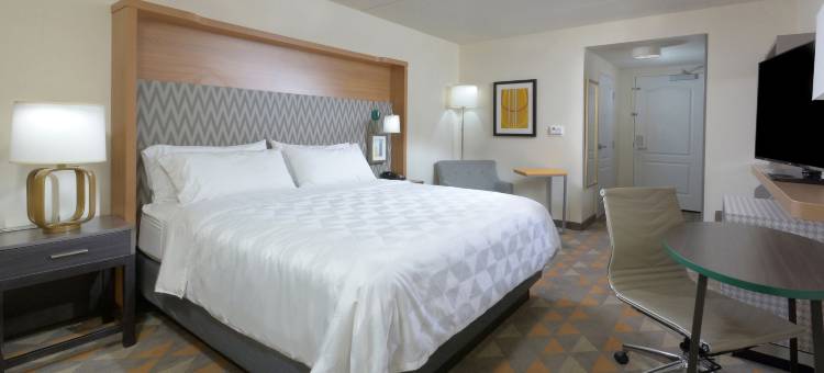 Holiday Inn 罗利 - 达勒姆国际机场(Holiday Inn Raleigh-Durham Airport)图片