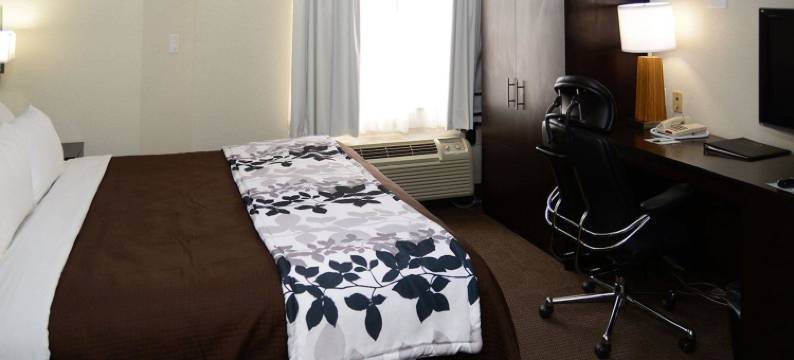 南海文霍恩莱克舒眠酒店(Sleep Inn Horn Lake-Southaven)图片