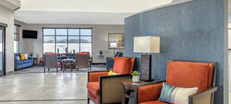 纳可杜契斯舒适全套房酒店(Comfort Suites Nacogdoches)图片