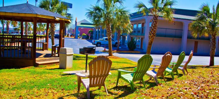 梅肯北凯艺套房酒店(Quality Inn & Suites Macon North)图片