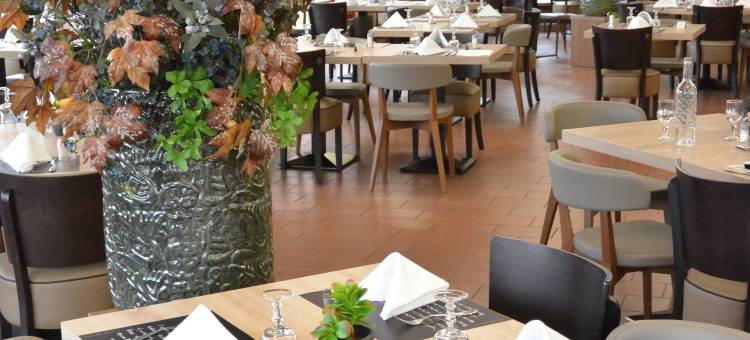 里昂东 - 热纳欧洲博览中心基里亚德酒店(Kyriad Lyon Est - Genas Eurexpo)图片