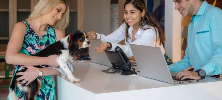 圣萨尔瓦多凯悦尚萃酒店(Hyatt Centric San Salvador)图片