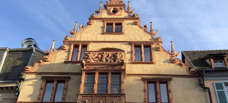 科尔玛天空之门酒店(Hotel Arc-En-Ciel Colmar Contact Hotel)图片