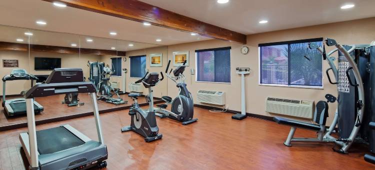 沙漠绿洲贝斯特韦斯特酒店(Best Western Desert Oasis)图片