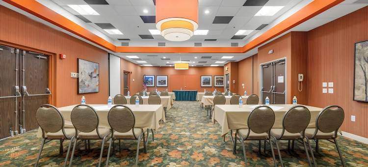 圣路易斯森林公园假日酒店(Forest Park Hotel by MDR)图片