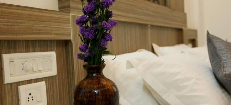 Kgees诺亚方舟(Kgees Noah Ark)图片