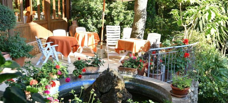 罗萨德尔提兰诺酒店(Hotel Rosa Del Tirreno)图片