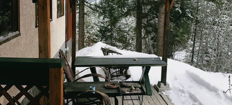 高山草甸旅舍(Alpine Meadows Lodge)图片