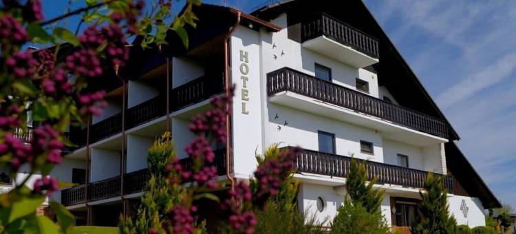 钢尼酒店和度假公寓Seeschlößchen(Hotel Seeschlößchen)图片