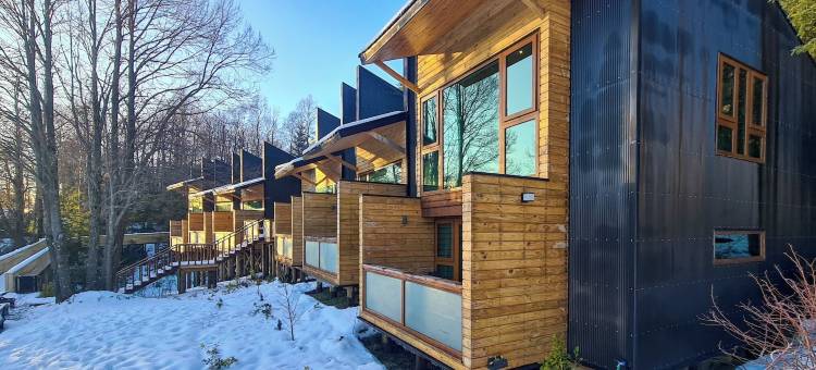 尼纽恩小屋(NI-Newen Hotel & Lodge)图片