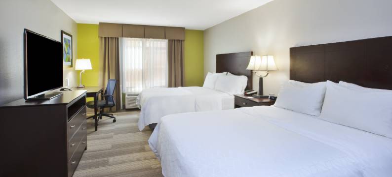 奈尔斯智选假日酒店(Holiday Inn Express & Suites NILES by IHG)图片