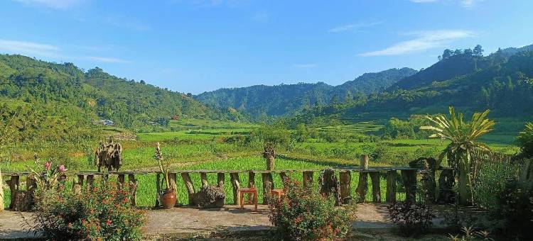 Binh Ban Lien民宿(Binh Ban Lien Homestay)图片