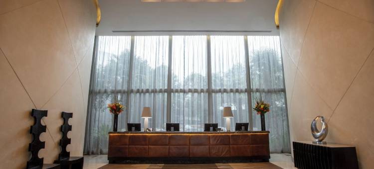 约翰内斯堡O.R.坦博国际机场洲际酒店(InterContinental Hotels Johannesburg O.R.Tambo Airport)图片