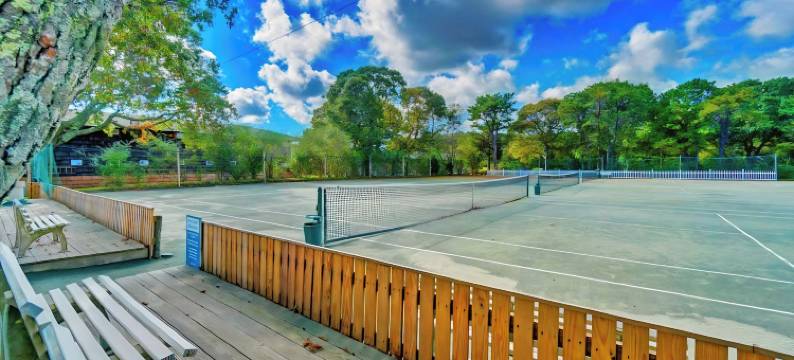 小岛旅馆(Island Inn)图片