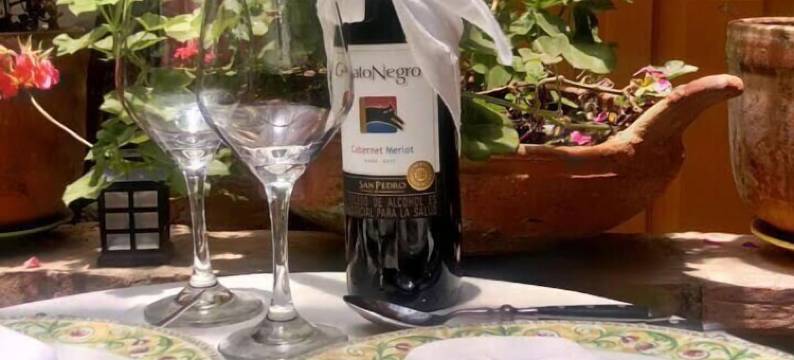 我家就是你家旅馆(Mi Casa es tu Casa Inn)图片