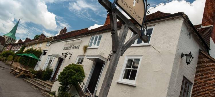 南哈丁白鹿旅馆(The White Hart, South Harting)图片