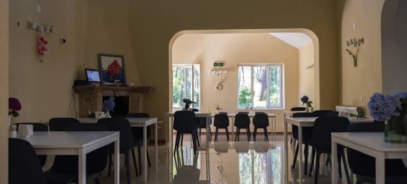 谢科维蒂利布克斯酒店(Buxus Hotel Shekvetili)图片