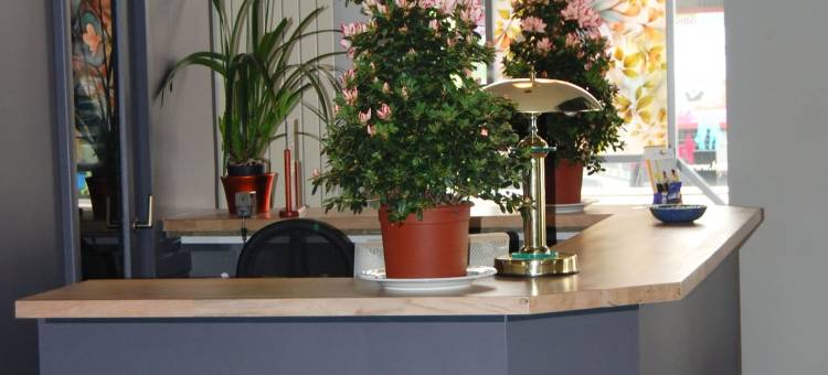 斯涛特尔欧洲酒店(Cit'Hotel Europeen)图片