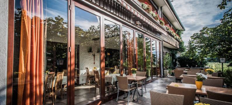 兰特霍特尔雷布斯托克(Landhotel Rebstock)图片