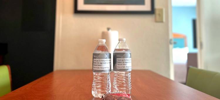 维吉尼亚海滩Homewood Suites by Hilton(Homewood Suites by Hilton Virginia Beach/Norfolk Airport)图片