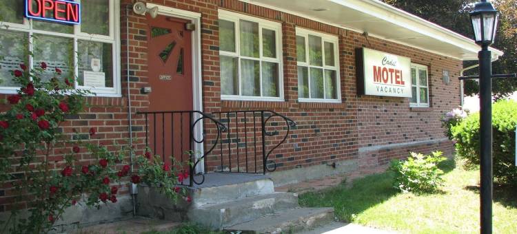 卡德特汽车旅馆(Cadet Motel)图片