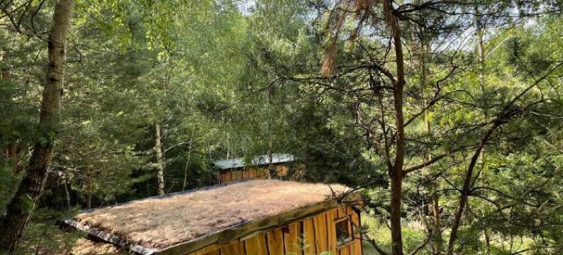 Boutique Glamping Divja DiVine图片