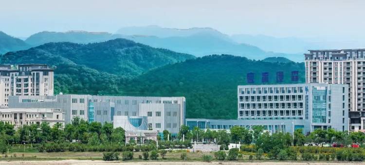 霍山应流缦森接待中心图片