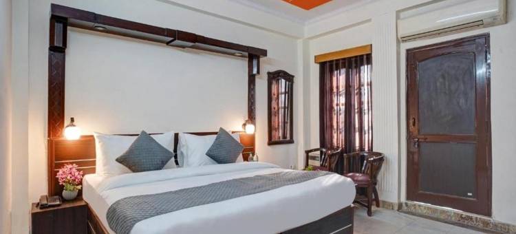 普里特维宫酒店(Hotel Prithvi Palace)图片