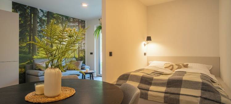 Resort JEZERNÍ Apartmány & Penzion Wellness图片