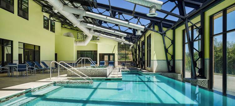 戴德伍德万豪SpringHill Suites 酒店(SpringHill Suites Deadwood)图片