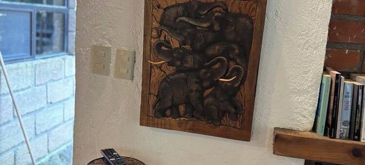 Cabin immersed in 1 hectare of forest. Maximum Internet power (Starlink)图片