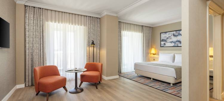 伊斯坦布尔塔克西姆精英世界舒适酒店(Elite World Comfy Istanbul Taksim)图片