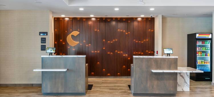 舒适酒店及套房(Comfort Inn  & Suites)图片