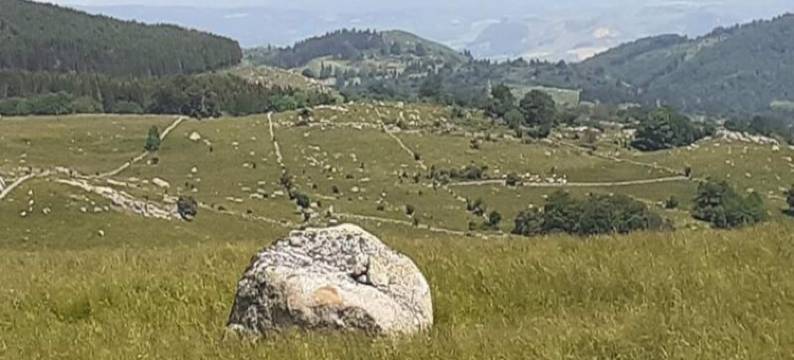 Gaete de France 6 People图片