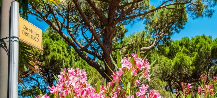 Holiday Home in Gassin near Saint Tropez图片