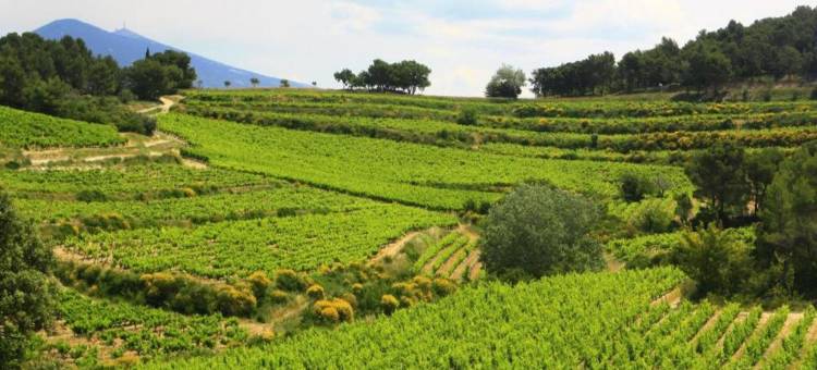 韦宗拉罗曼度假屋配有恒温泳池(House in Vaison La Romaine with Heated Pool)图片