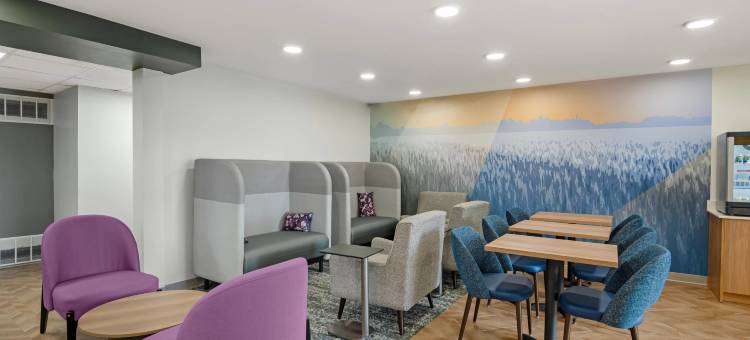 富兰克林舒眠旅馆 - 酷泉(Sleep Inn Franklin - Cool Springs)图片