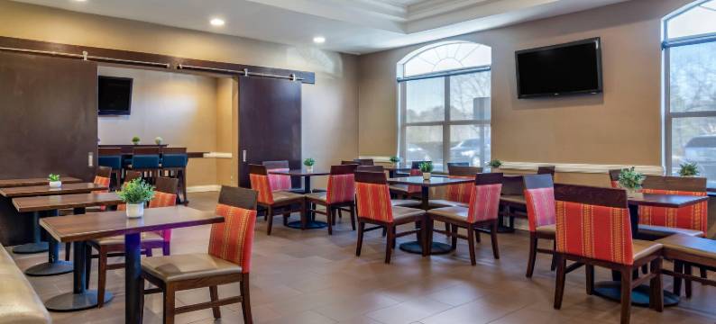 亚特兰大六旗江山酒店酒店(Comfort Inn & Suites Near Six Flags)图片