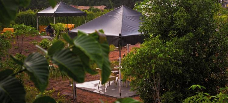 邦德利营地和度假村，潘纳(Bundeli Camps and Resorts, Panna)图片