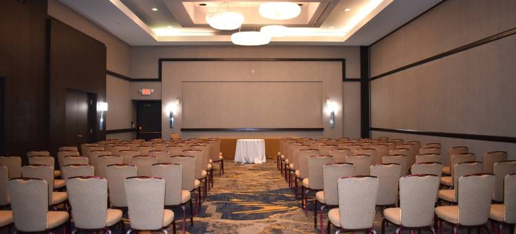 莱尔凯悦酒店-近内珀维尔(Hyatt Regency Lisle Near Naperville)图片