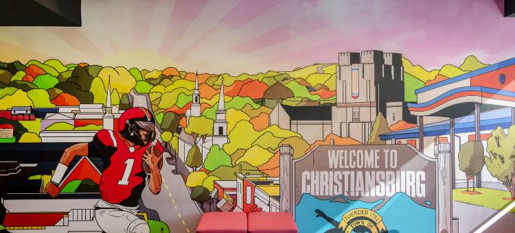 Tru By Hilton 克里斯琴斯堡(Tru by Hilton Christiansburg)图片