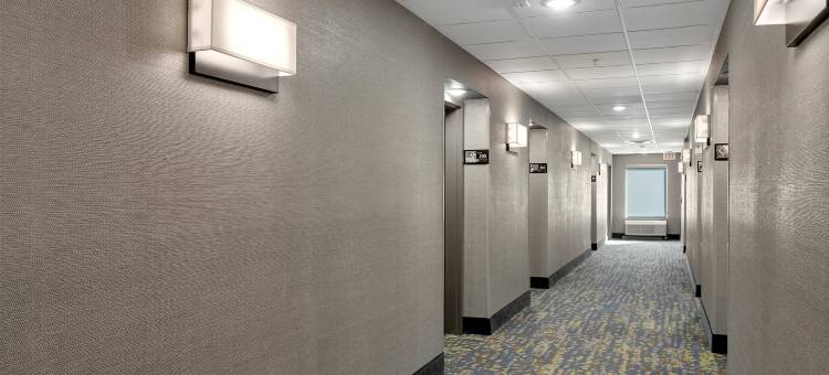 拉夫金希尔顿欢朋套房酒店(Hampton Inn & Suites Lufkin)图片