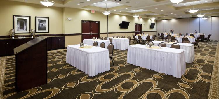 Holiday Inn 莫比尔- 机场(Holiday Inn Mobile - Airport)图片