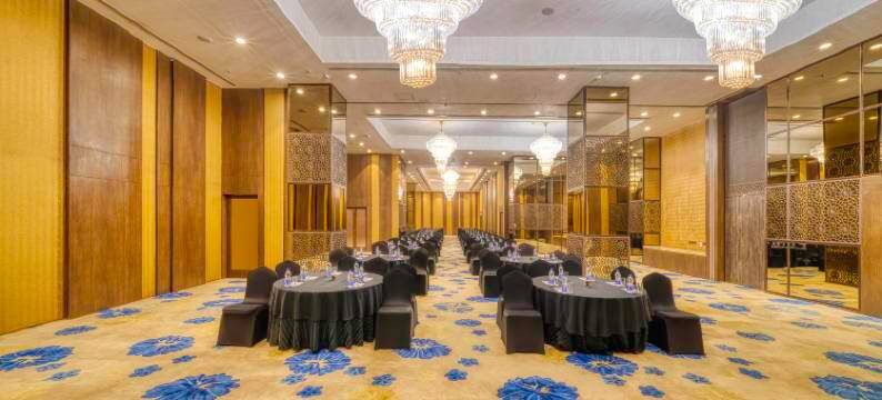 加尔各答机场假日酒店(Holiday Inn KOLKATA AIRPORT by IHG)图片