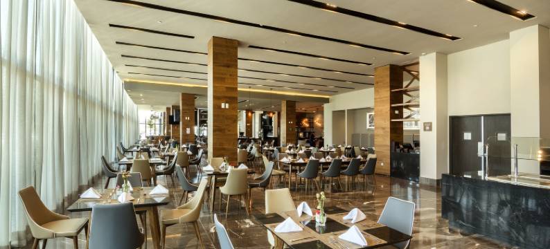 希尔顿花园酒店-阿瓜斯卡连特斯(Hilton Garden Inn Aguascalientes)图片