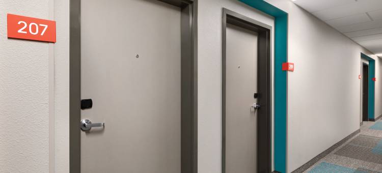 波士顿里维尔洛根机场安维德酒店(洲际酒店集团)(Avid Hotel Boston Logan Airport - Revere)图片