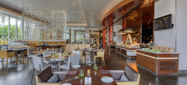 诺富特班加罗尔外环路酒店(Novotel Bengaluru Outer Ring Road)图片