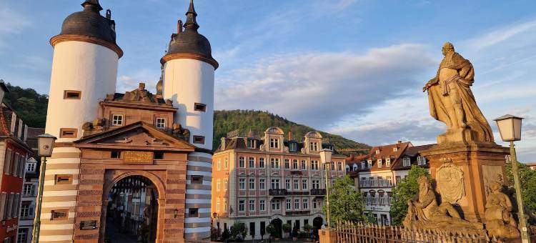 海德堡城市伙伴酒店(City Partner Hotel Holländer Hof)图片