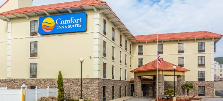 汉密尔顿广场舒适套房酒店(Comfort Inn & Suites Hamilton Place)图片