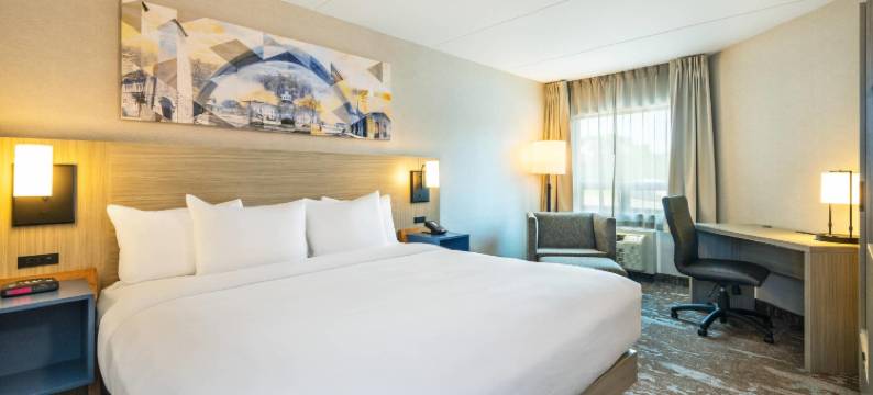 401高速路舒适酒店(Comfort Inn Hwy 401)图片